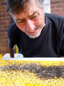 I hate killing these little critters